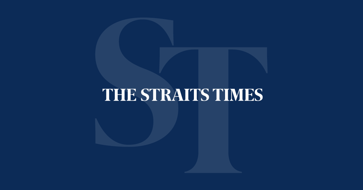 Termite Specialist Featured on The Strait Times