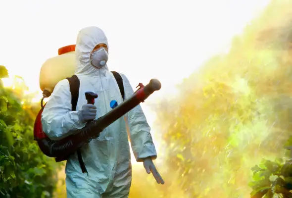 A pest control technician spraying pesticide in a garden.