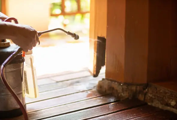 A pest control technician spraying insecticide around a wooden door frame.